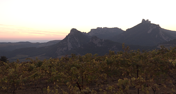 panorama-dentelles-de-montmirail-600x320